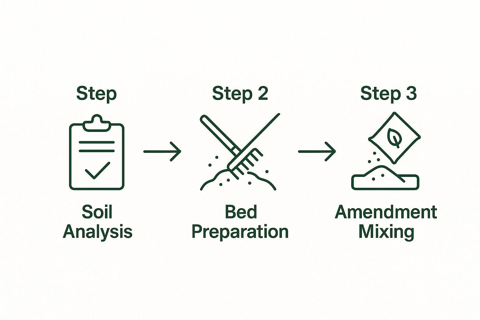 Infographic about how to prepare garden soil