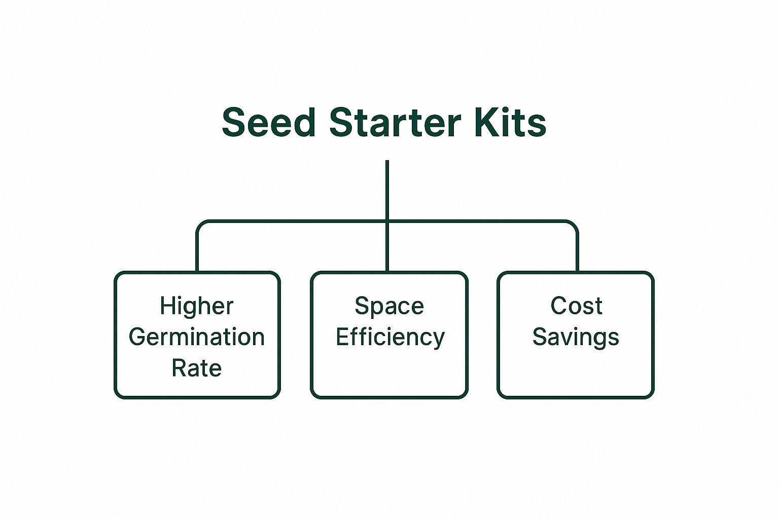 Infographic about best seed starter kits