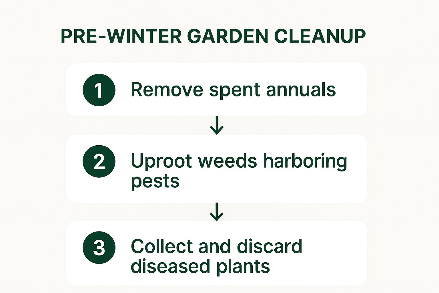 Infographic about how to winterize garden beds