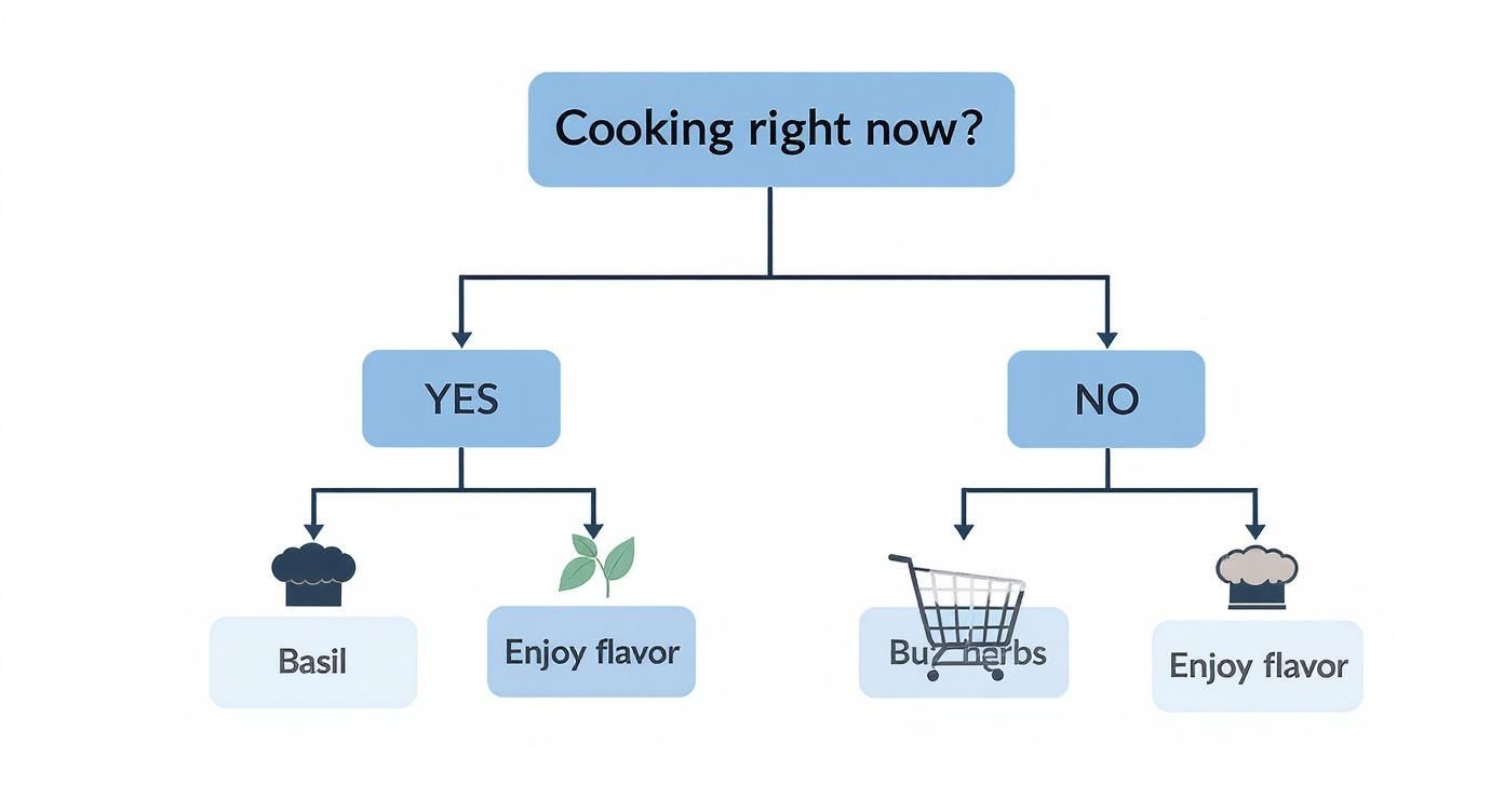 Infographic about easy to grow herbs indoors