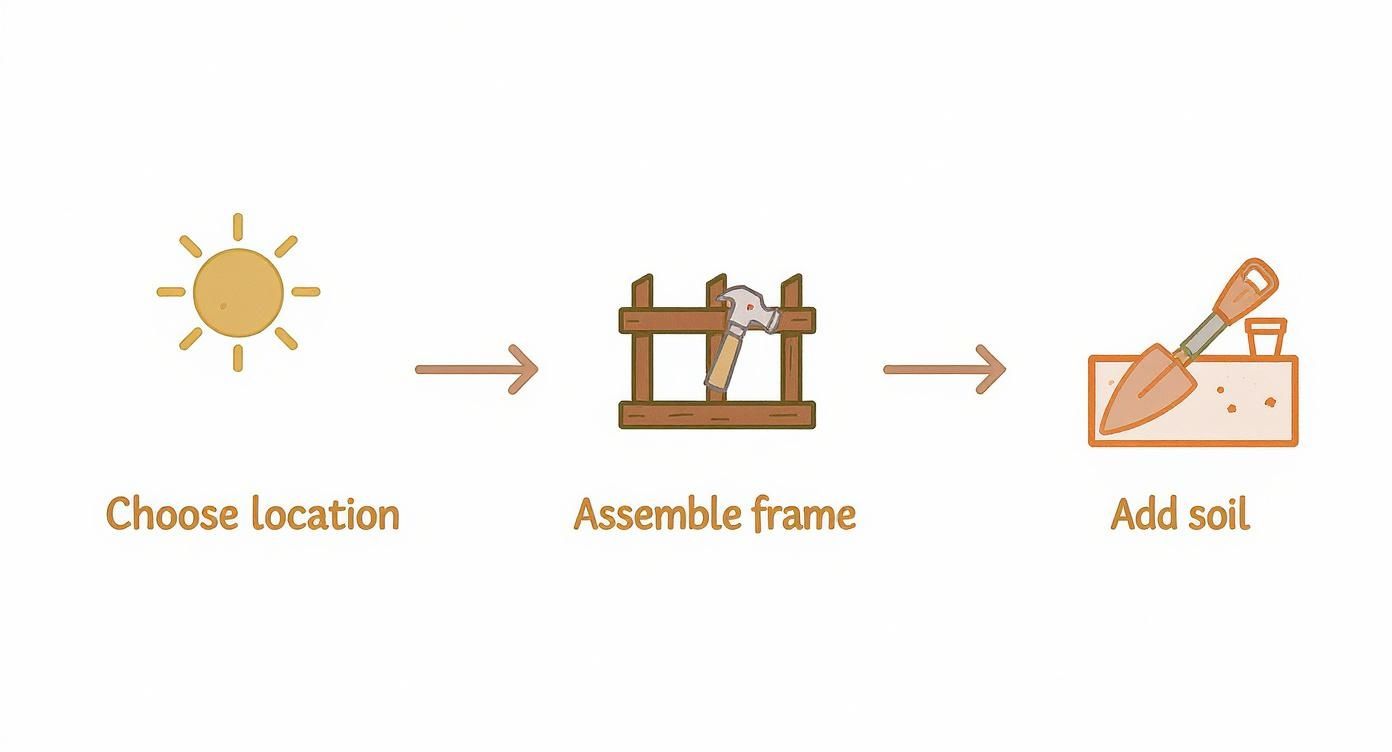 Infographic about raised bed gardening for beginners