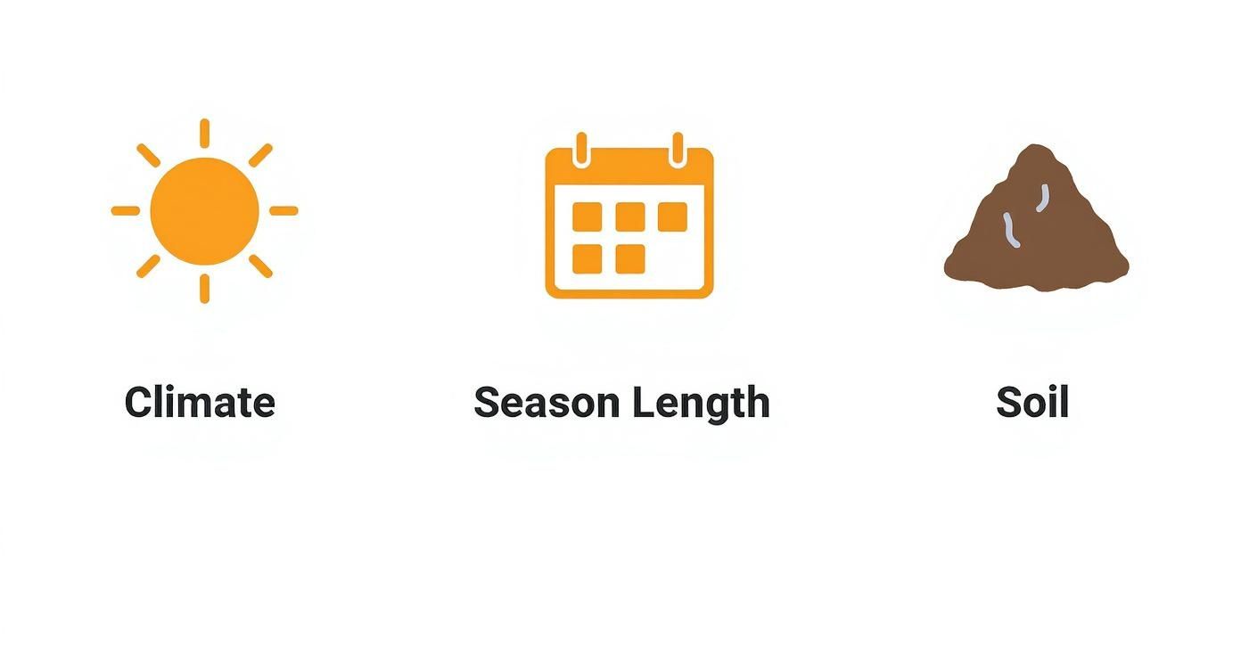 Three icons representing climate (sun), season length (calendar), and soil conditions, essential farming factors.