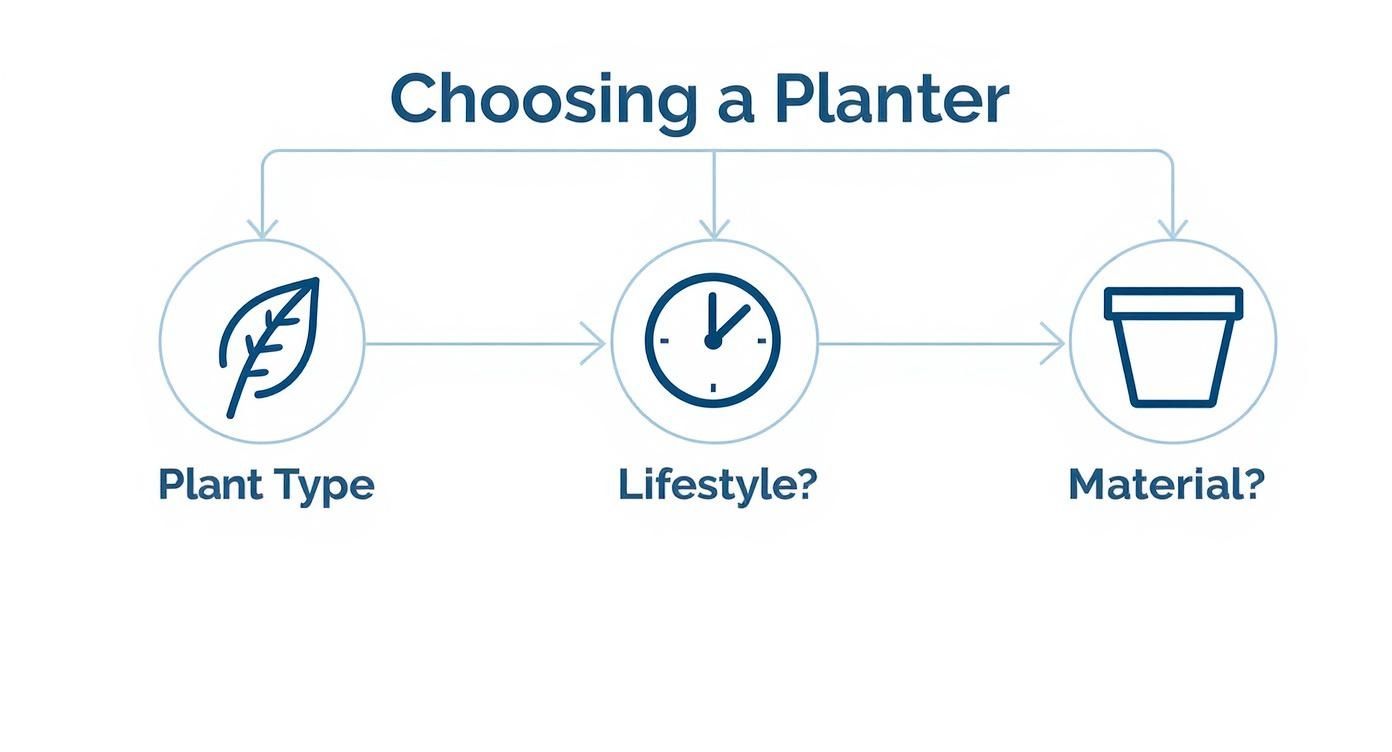 Infographic about best self watering planters