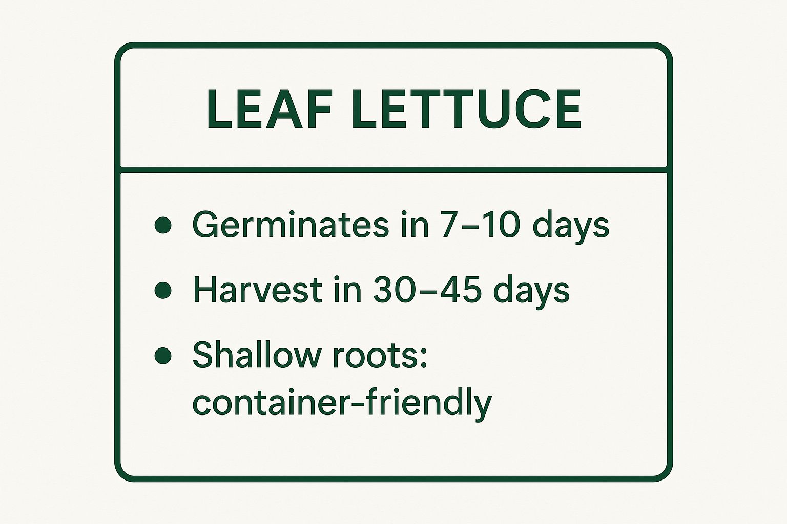 Infographic showing key data about Lettuce (Leaf varieties)