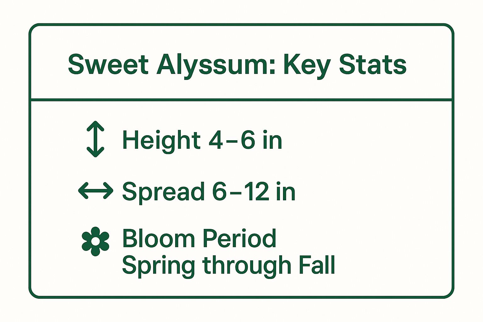 Infographic showing key data about Sweet Alyssum (Lobularia maritima)