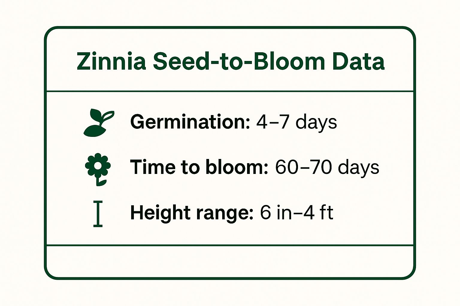 Infographic showing key data about Zinnia (Zinnia elegans)