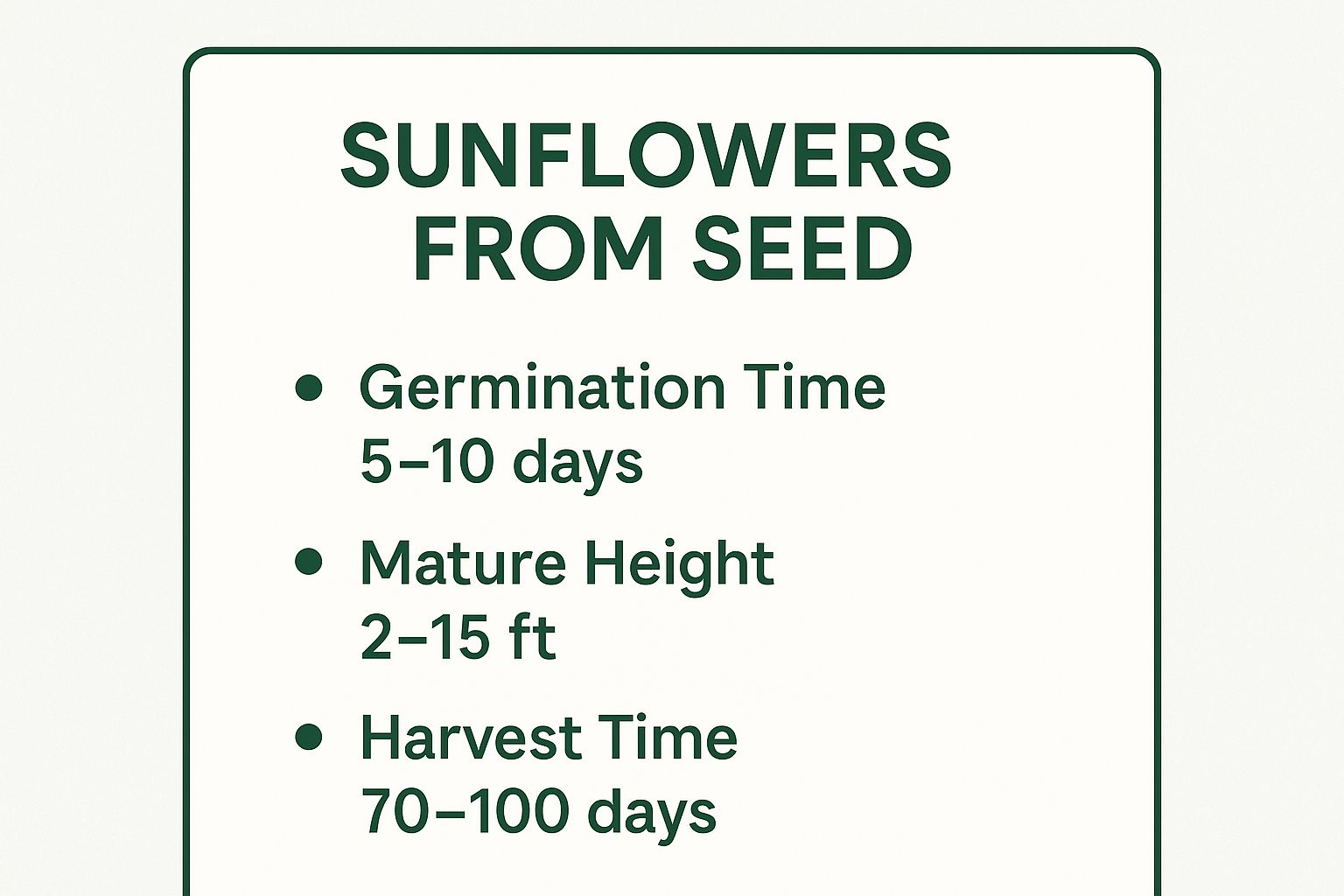 Infographic showing key data about Sunflowers (Helianthus annuus)