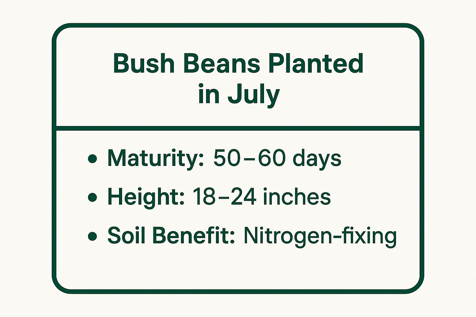 Infographic showing key data about Bush Beans