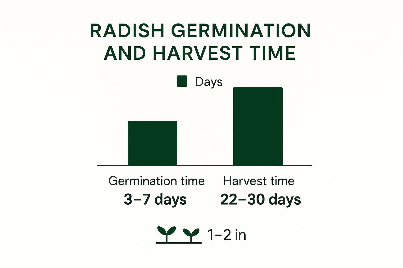 Infographic showing key data about Radishes (Cherry Belle)