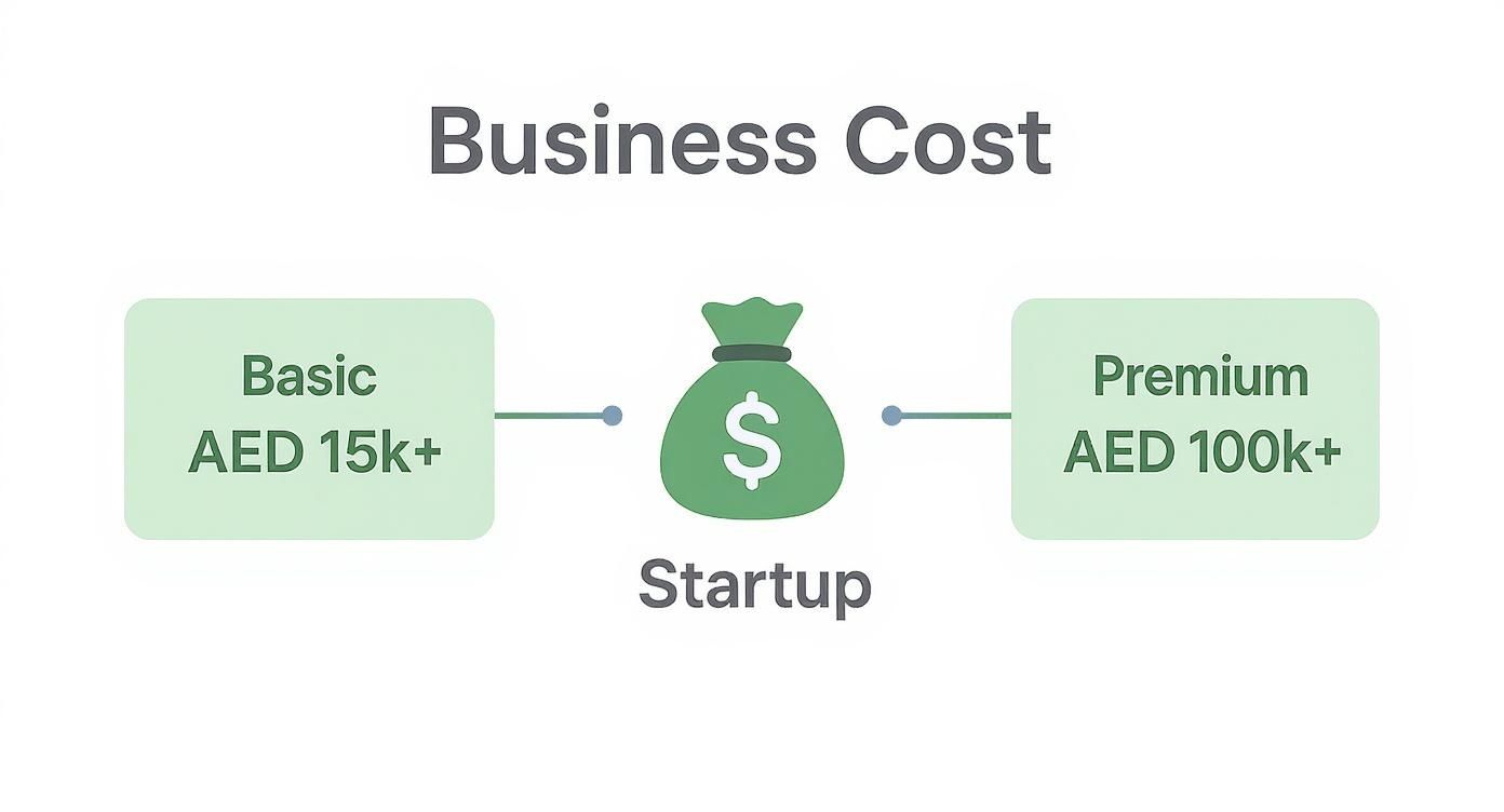 Diagram illustrating business startup costs for Basic (AED 15k+) and Premium (AED 100k+) levels.