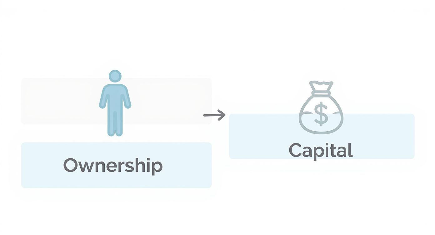 Diagram showing a person icon representing 'Ownership' pointing to a money bag icon representing 'Capital'.