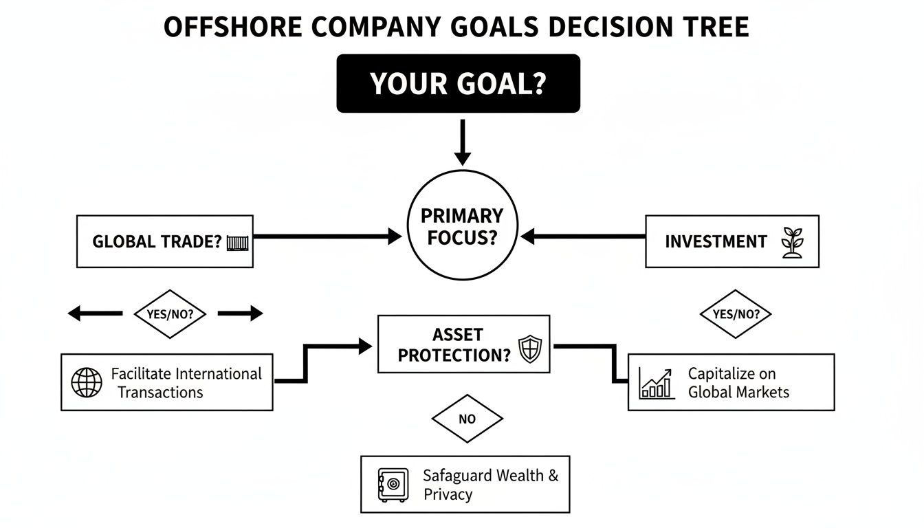 Decision tree illustrating offshore company goals for global trade, investment, and asset protection strategies.