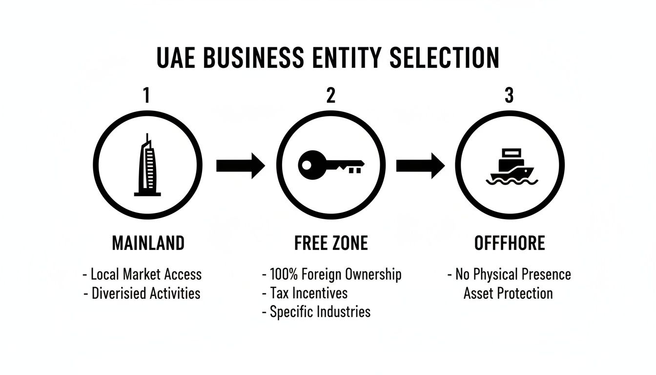 Flowchart illustrating UAE business entity selection: Mainland, Free Zone, and Offshore options with key benefits.