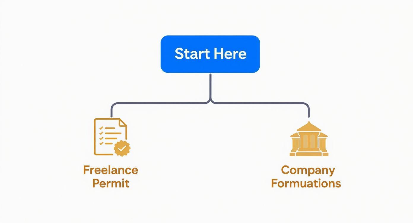 Flowchart displaying two business setup options: Freelance Permit or Company Formations, branching from 'Start Here'.