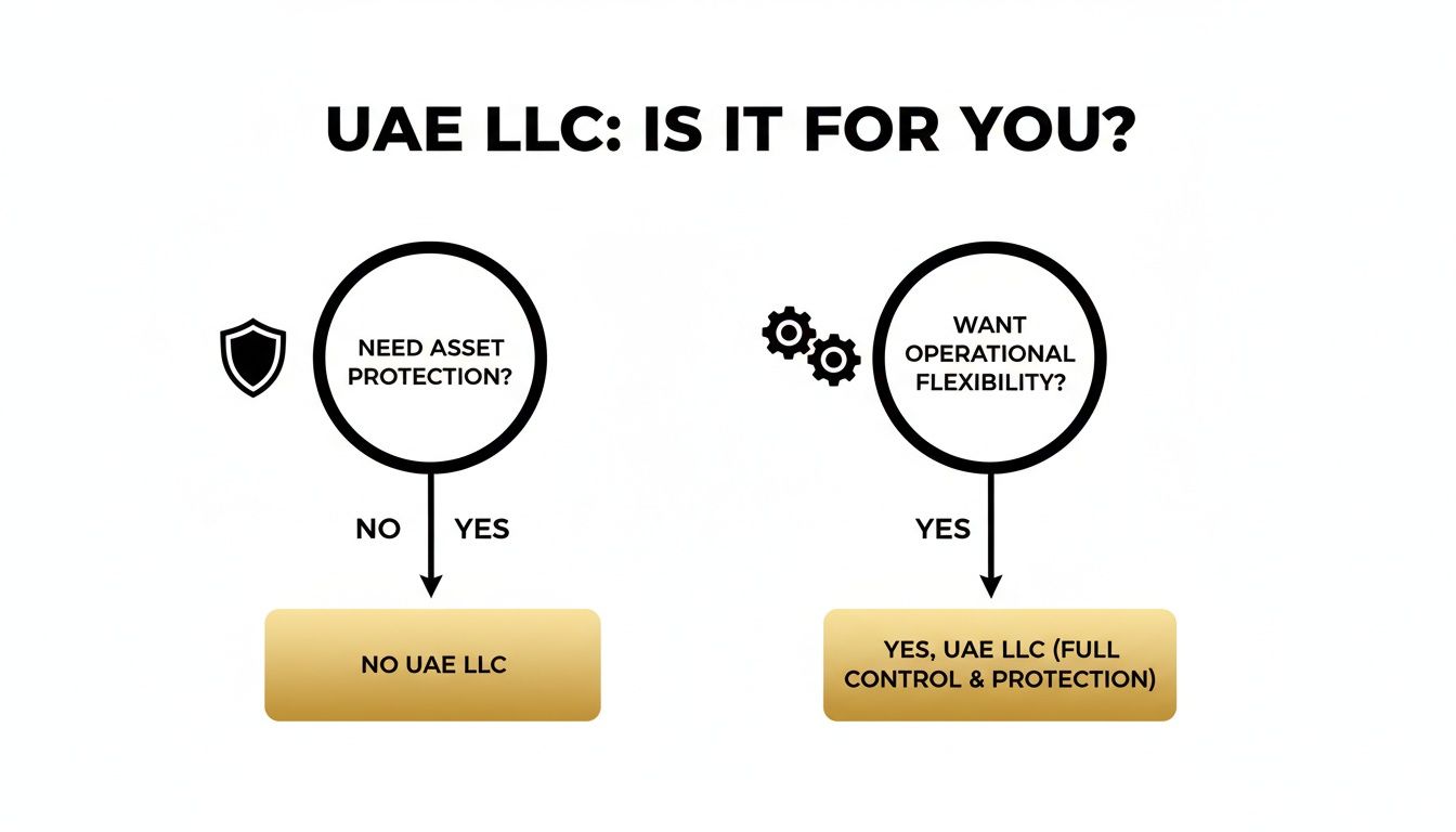 Flowchart explaining UAE LLC suitability based on asset protection and operational flexibility.
