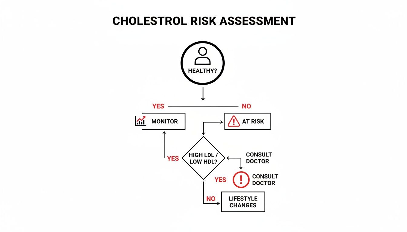 A cholesterol risk assessment flowchart showing steps based on health status and lipid levels.