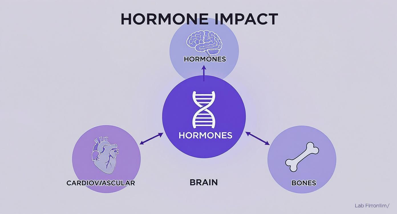 Infographic about hormones test for female
