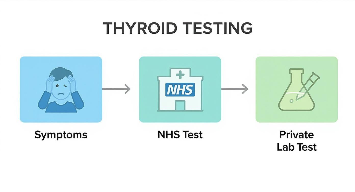 Flowchart illustrating the process of thyroid testing, from symptoms to NHS and private lab tests.