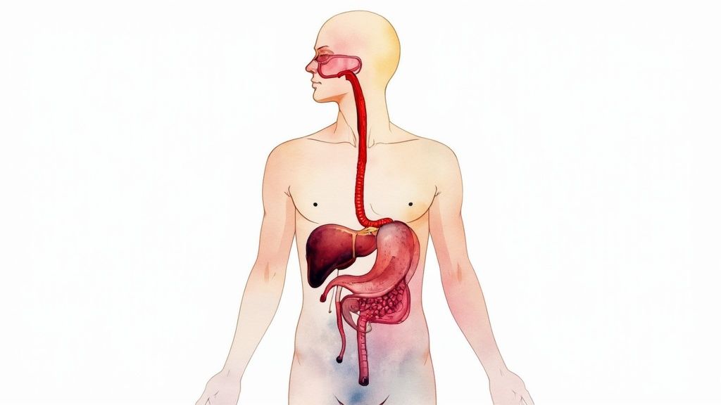 A medical professional checking a patient's blood pressure, representing proactive health monitoring.