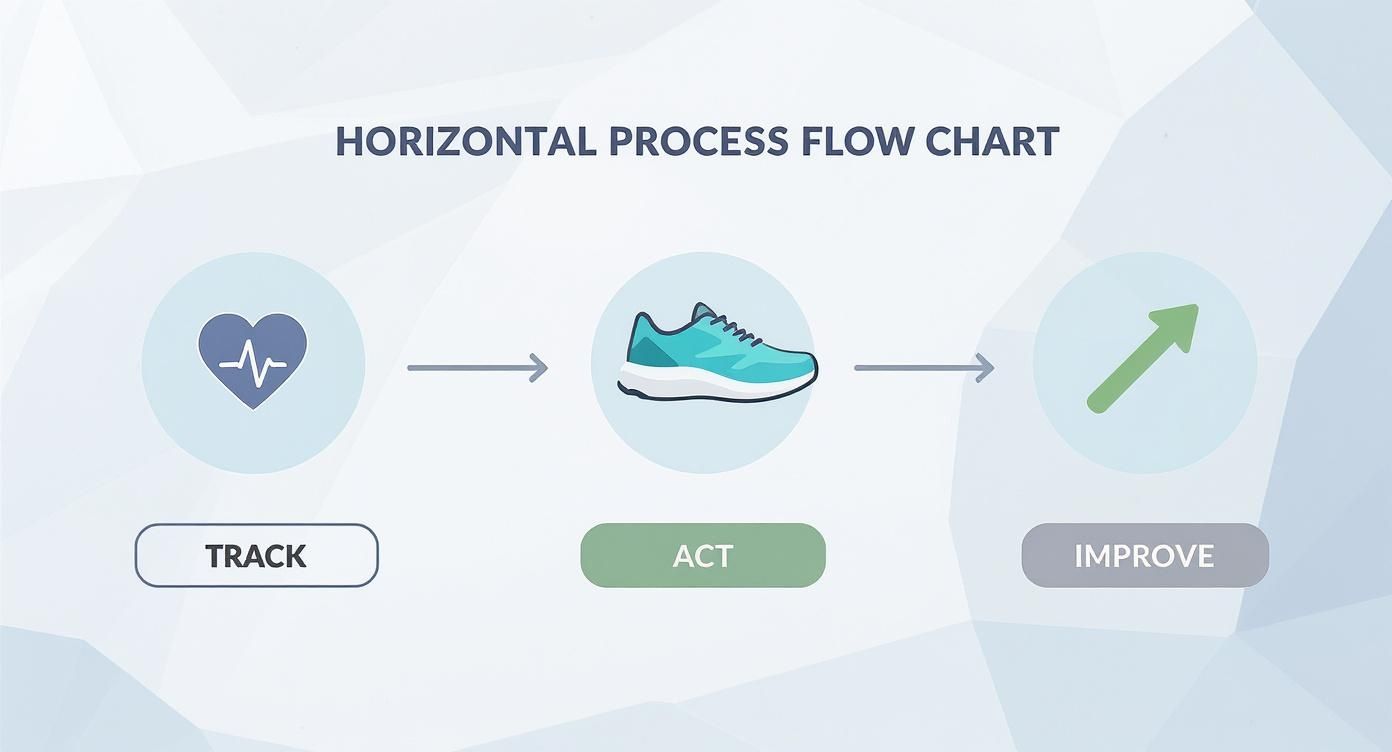 Infographic showing a process flow for longevity, with icons for Track, Act, and Improve.