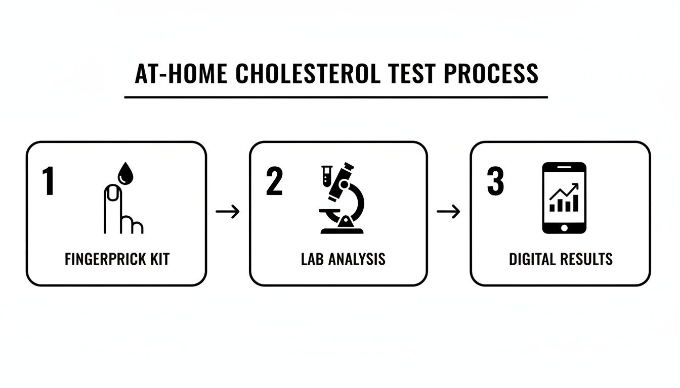 Infographic detailing the 3-step at-home cholesterol test process: fingerprick kit, lab analysis, and digital results.