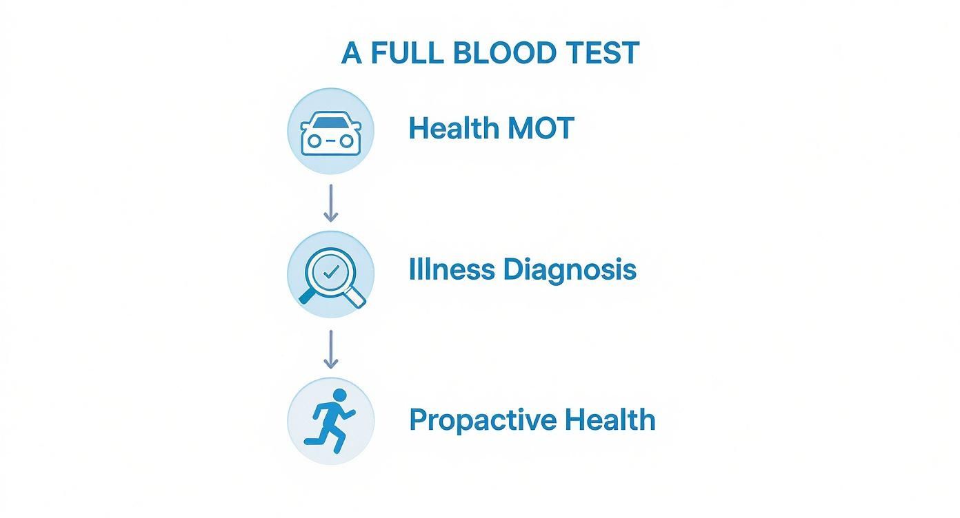 Infographic about full blood test