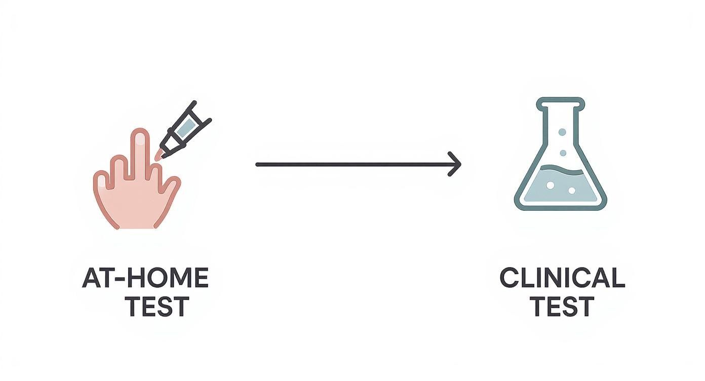 Illustration showing a hand performing an at-home finger-prick test, leading to a clinical lab test flask.