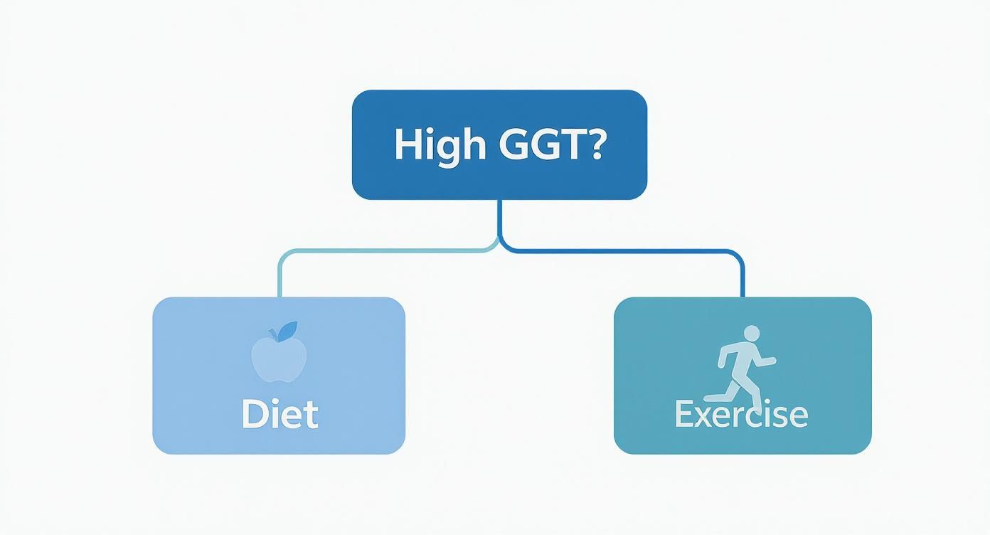 Infographic about how to lower ggt levels