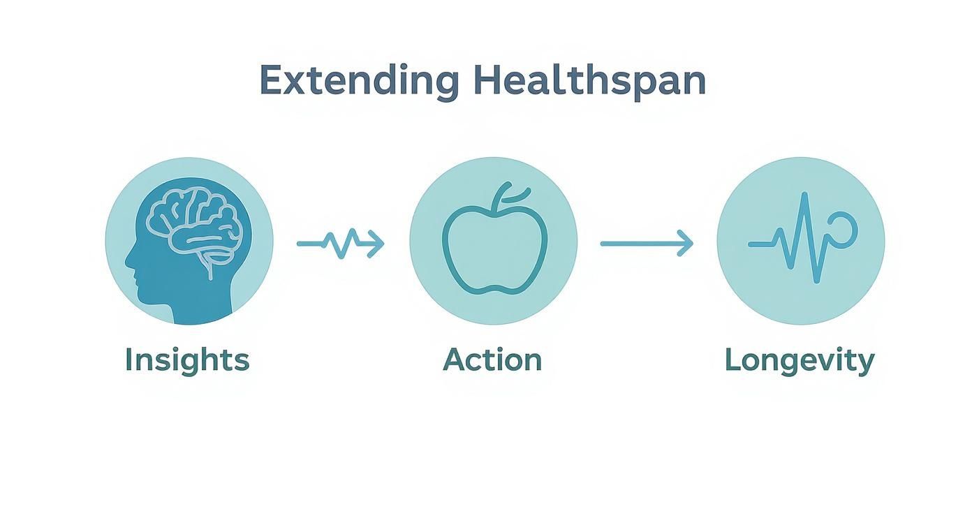 Infographic about nutritional blood testing