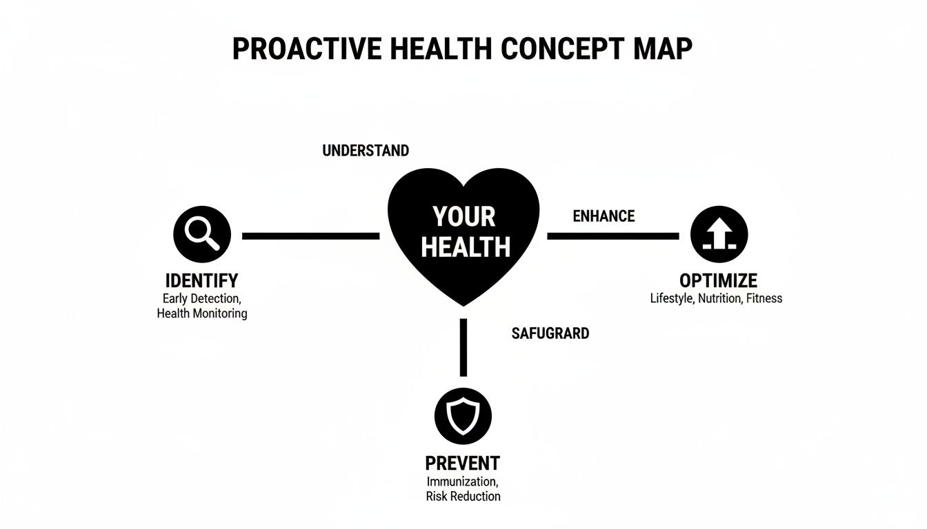 A proactive health concept map illustrating steps to understand, enhance, and safeguard your health.