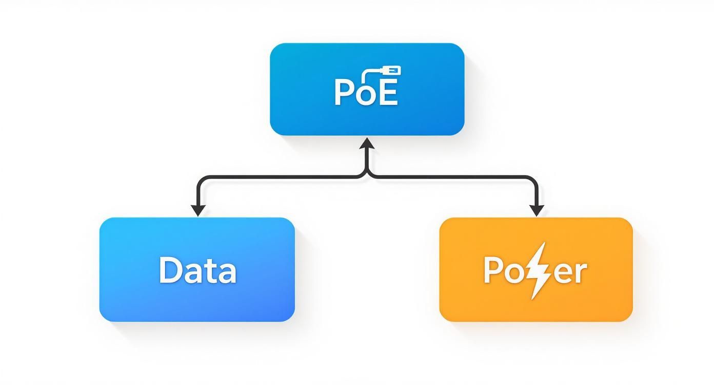 A diagram illustrating Power over Ethernet (PoE) splitting into data transmission and electrical power.