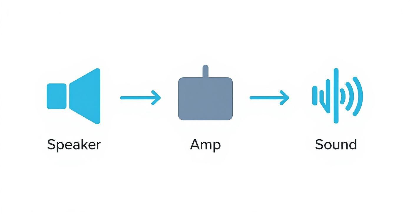 Diagram illustrating the audio signal flow from a speaker through an amplifier to produce sound.