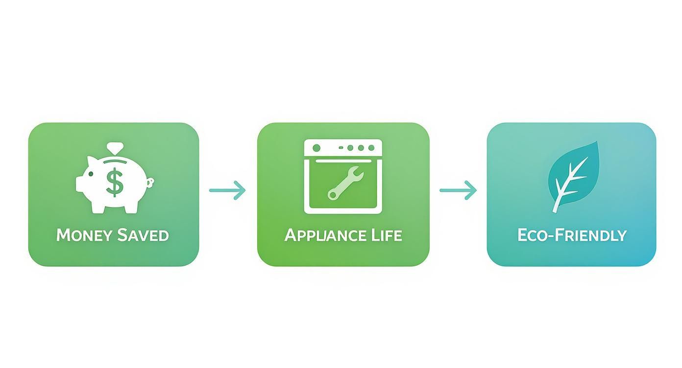 Infographic about appliance repair mckinney tx