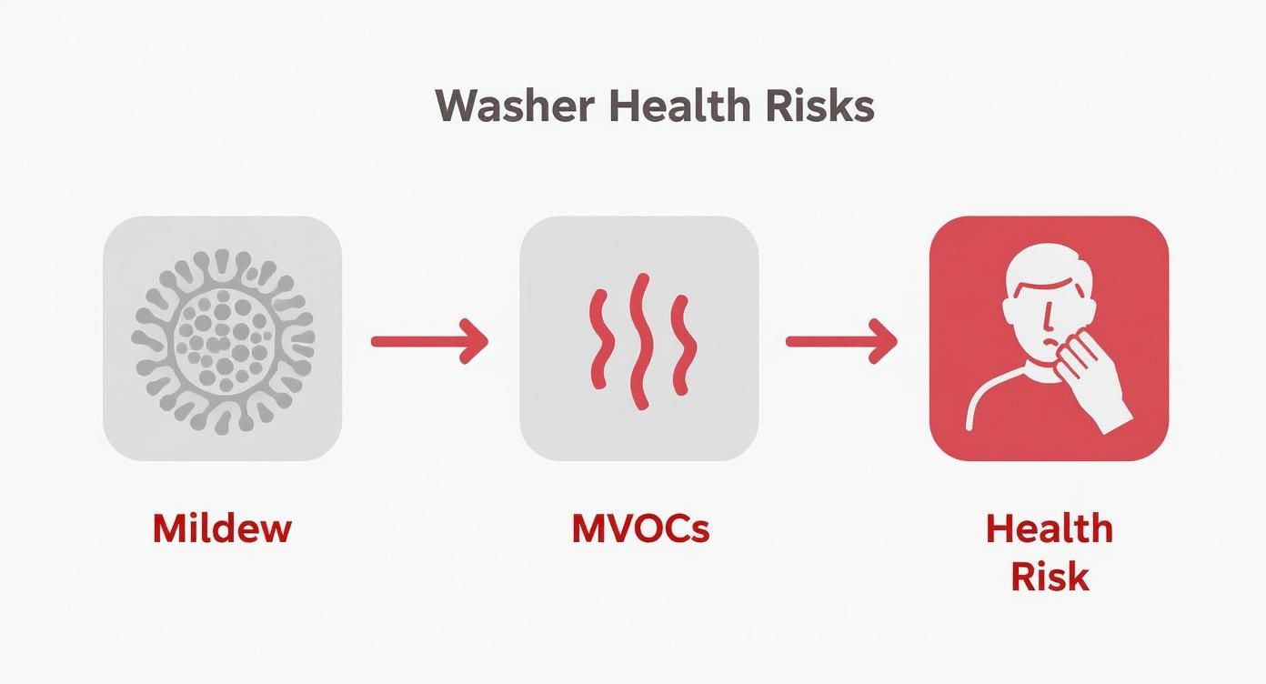 Infographic about washer smells like mildew front load