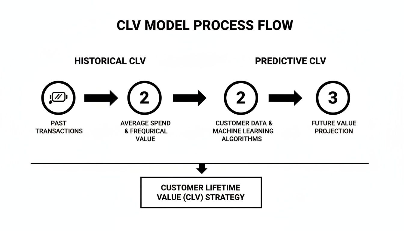 CLV model process flow diagram from past transactions to future value projection for strategy.