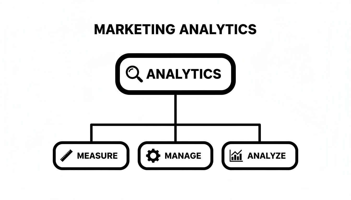 A marketing analytics flowchart with main 'Analytics' node leading to 'Measure', 'Manage', and 'Analyze'.