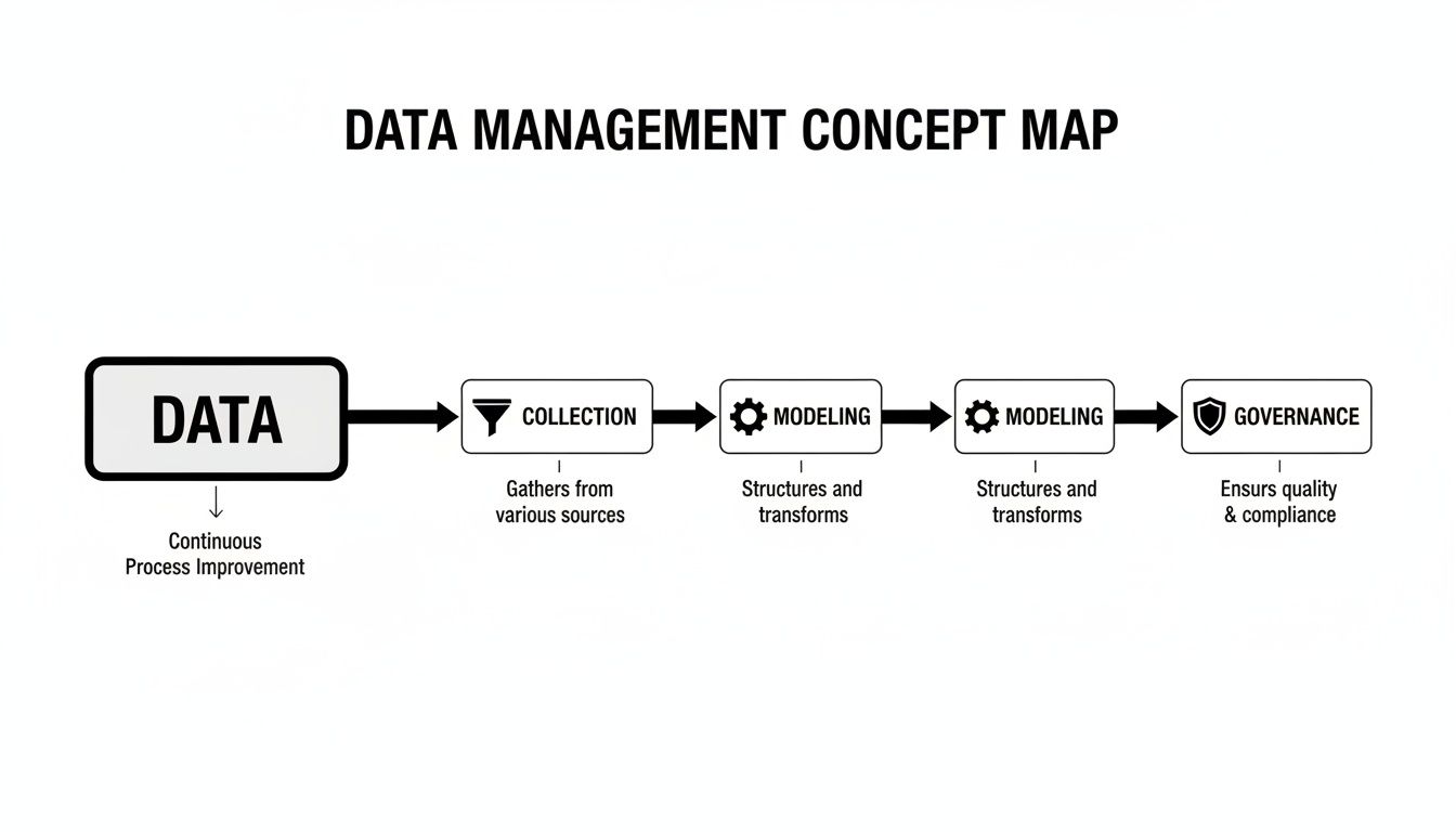 A data management concept map illustrating the workflow from data collection to governance.