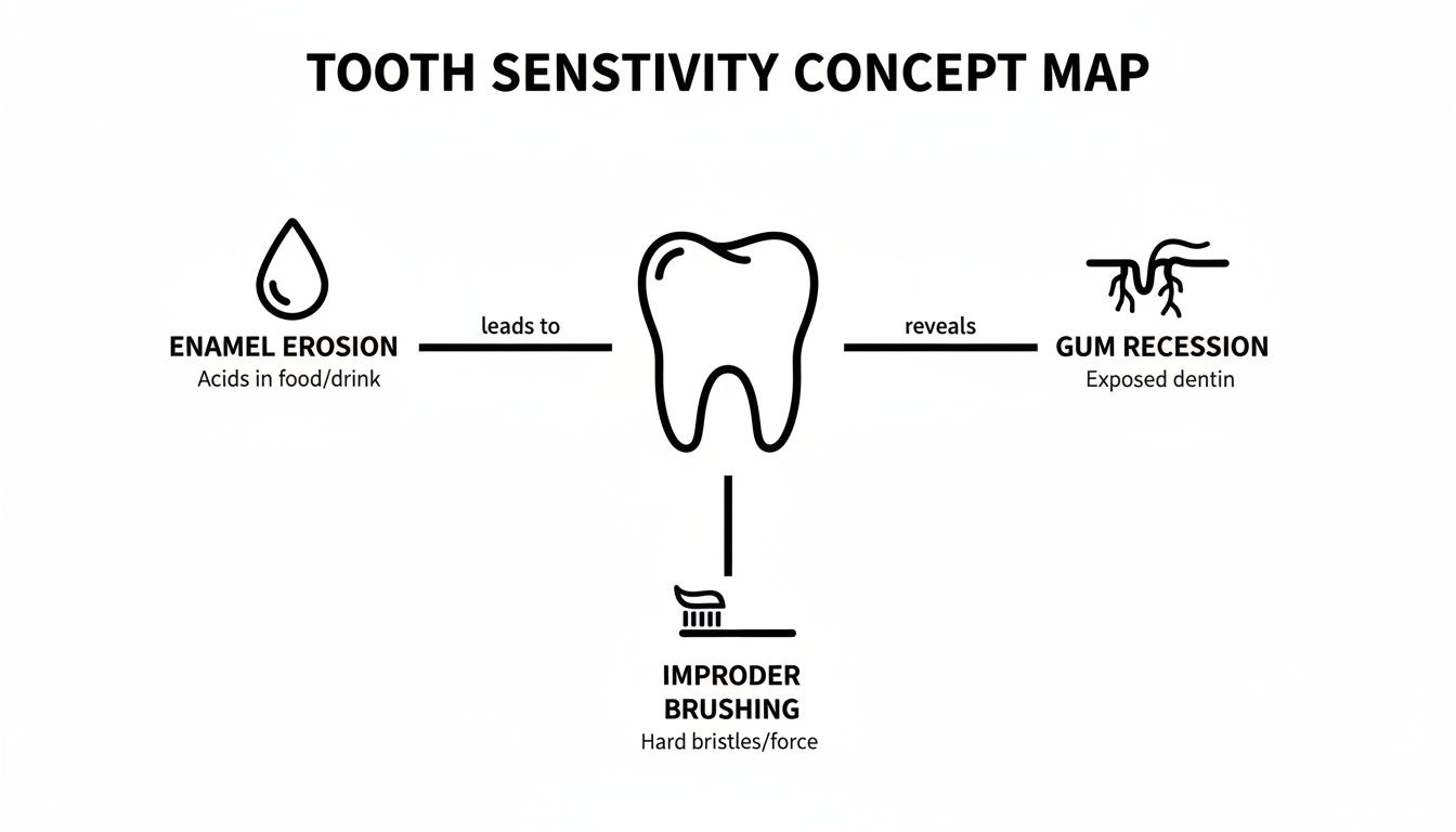 A concept map illustrates tooth sensitivity, showing enamel erosion, gum recession, and improper brushing as causes.