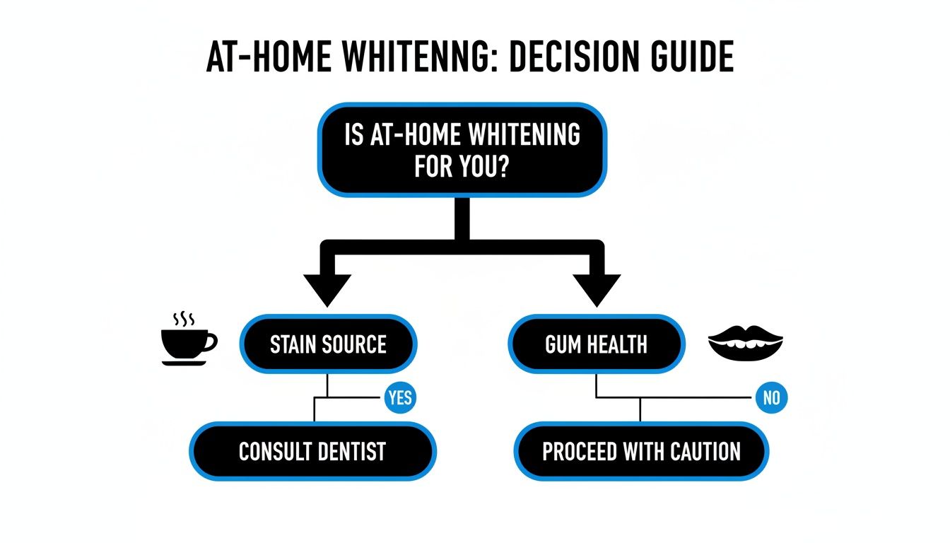 Flowchart guiding users on at-home teeth whitening decisions based on stain source and gum health.