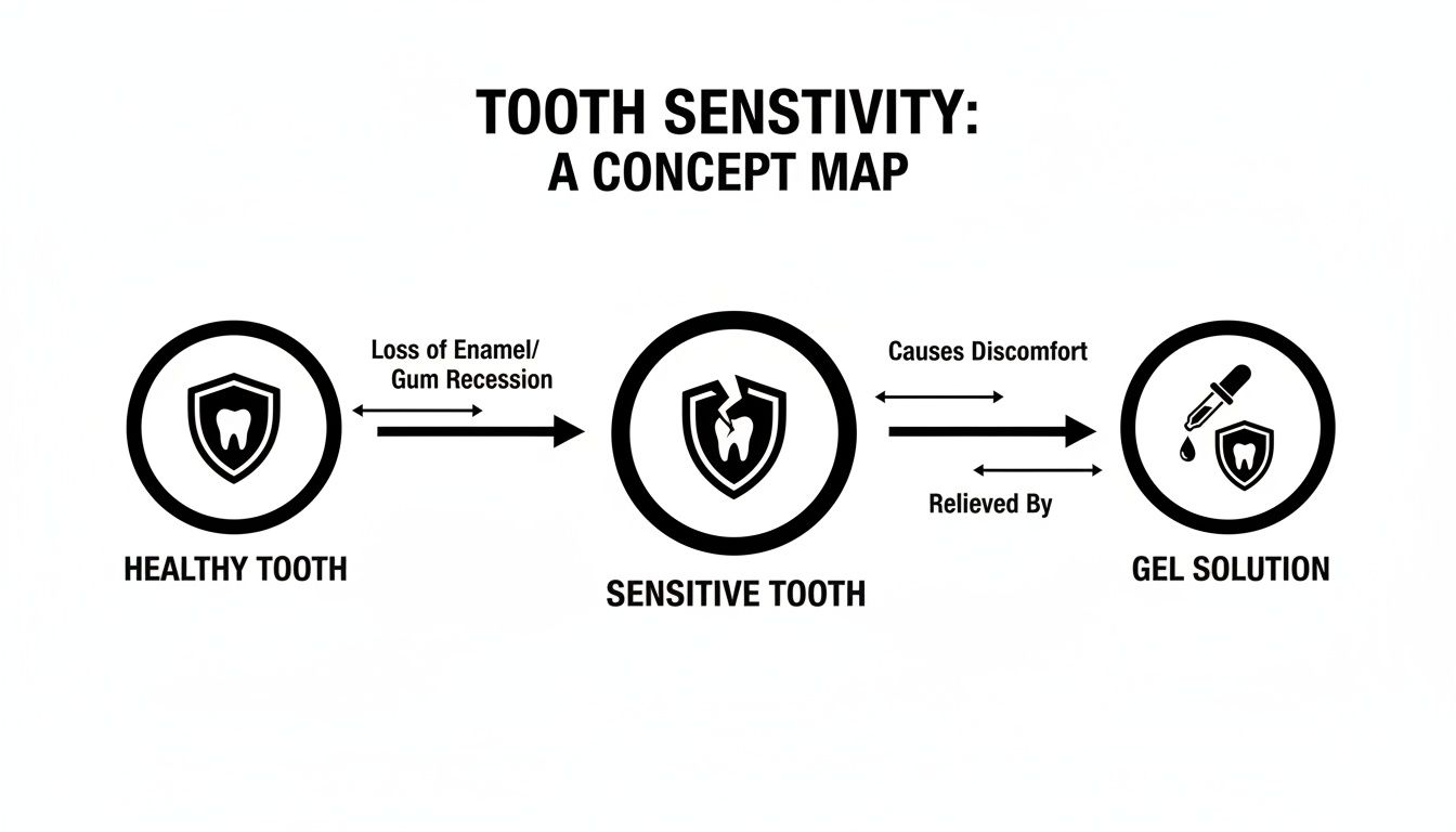 Infographic explains tooth sensitivity: healthy tooth, then sensitive tooth from enamel loss, causing discomfort, relieved by gel.