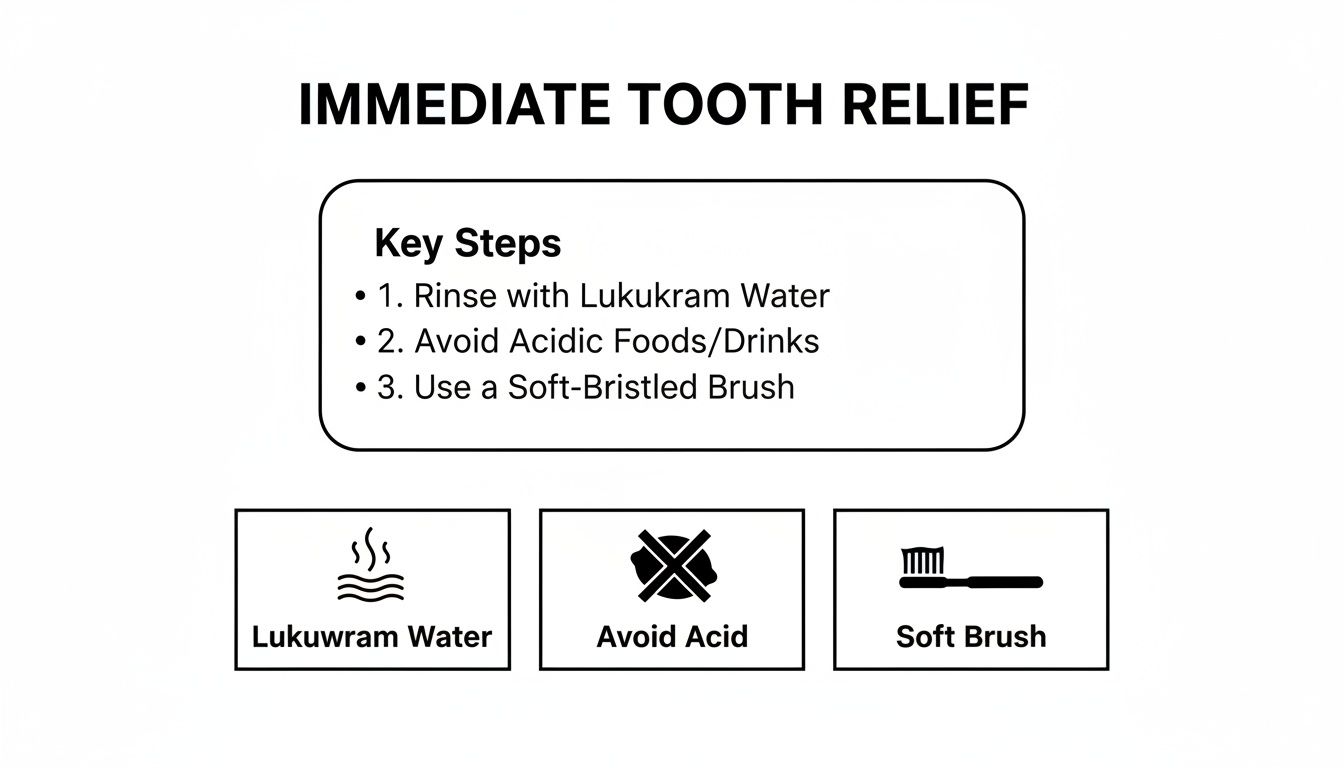 An infographic detailing immediate tooth relief steps: rinse with Lukukram water, avoid acidic foods, and use a soft-bristled brush.