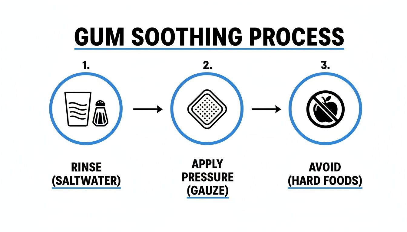 Infographic outlining a three-step gum soothing process: rinse with saltwater, apply gauze, avoid hard foods.