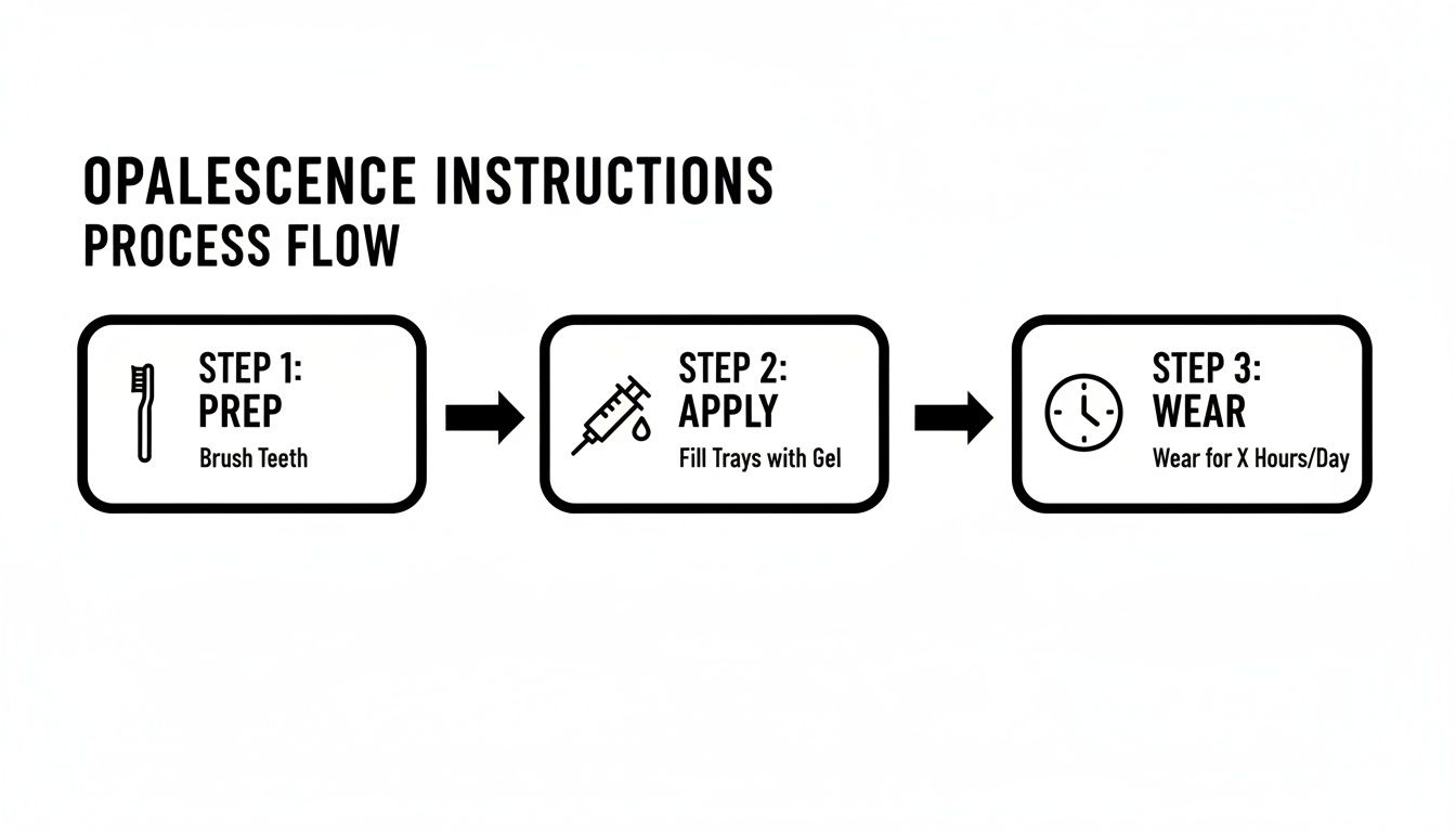 Opalescence instructions process flow showing three steps: brush teeth, apply gel, and wear trays.