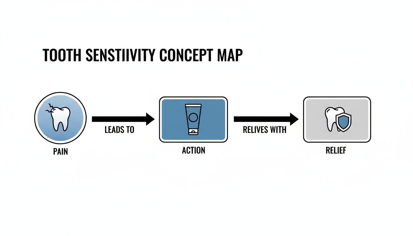 A concept map illustrating tooth sensitivity pain, leading to action with toothpaste for relief.