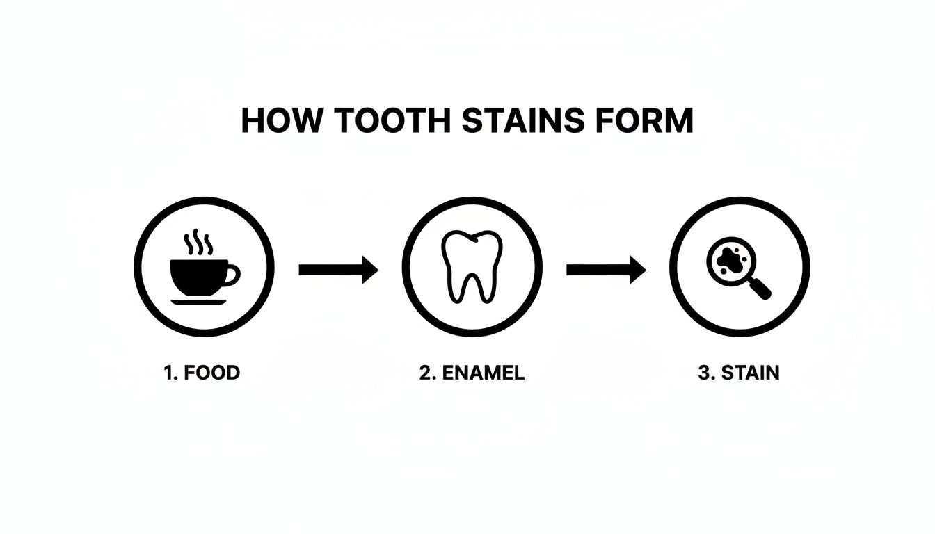A diagram explaining how tooth stains form, showing food leading to enamel, then to a stain.