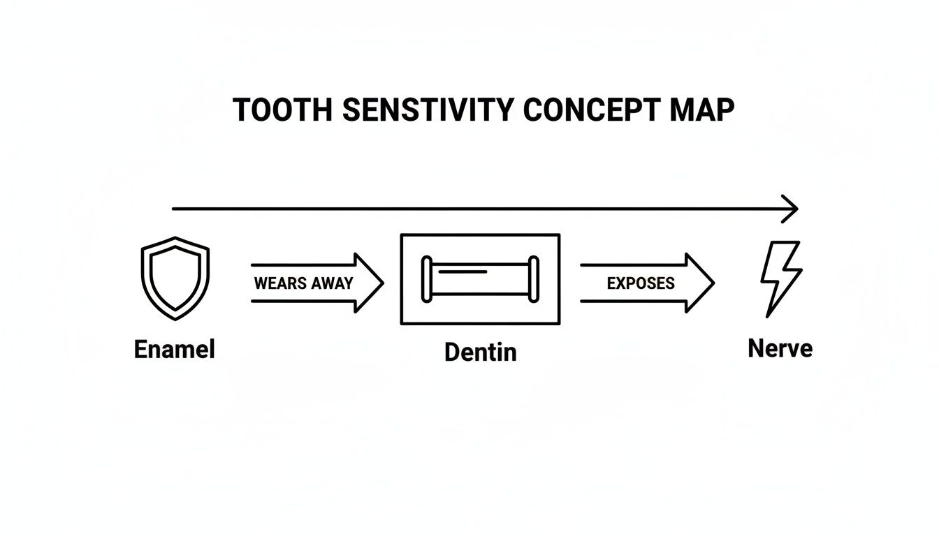 A concept map illustrating tooth sensitivity, showing enamel wearing away to expose dentin, which then exposes the nerve.