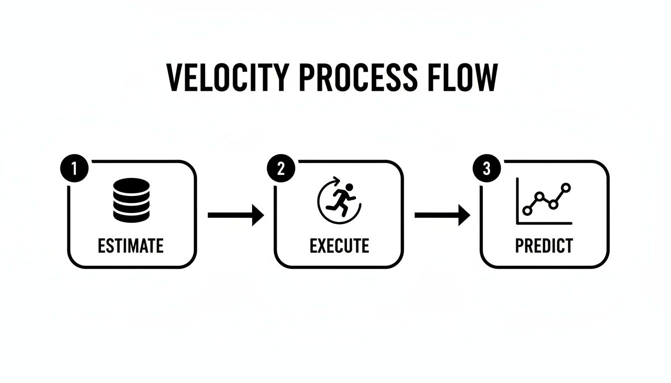 Boost software development velocity: Measure, Optimize, a... | Zest