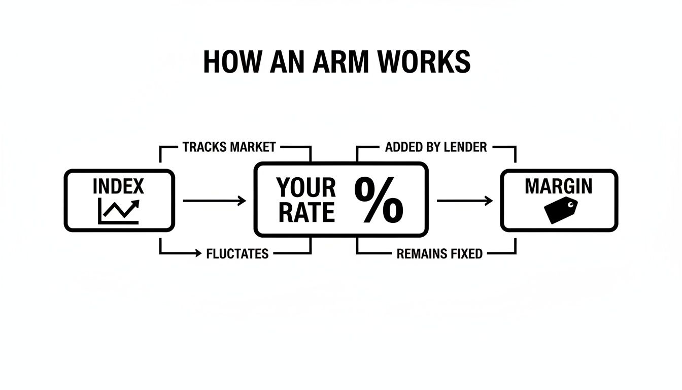 A diagram explaining how an Adjustable Rate Mortgage (ARM) works with Index, Your Rate, and Margin.