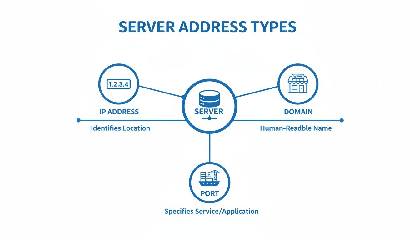 Diagram illustrating server address types: IP address for location, Domain for human-readable name, and Port for service.