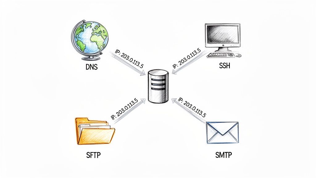 Diagram showing a server at IP 203.0.113.5 connecting to DNS, SSH, SFTP, and SMTP services.